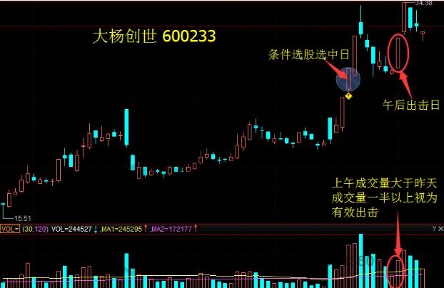 大杨创世.jpg