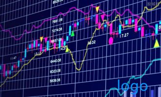 证券基本面分析实验心得