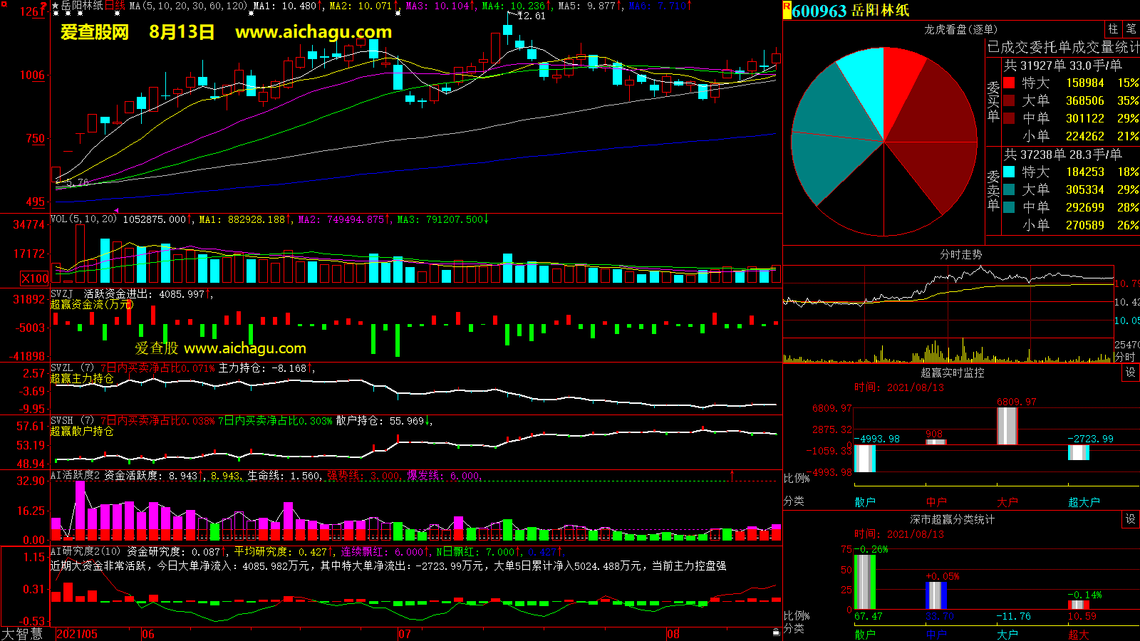 岳阳林纸(600963)大智慧超赢数据